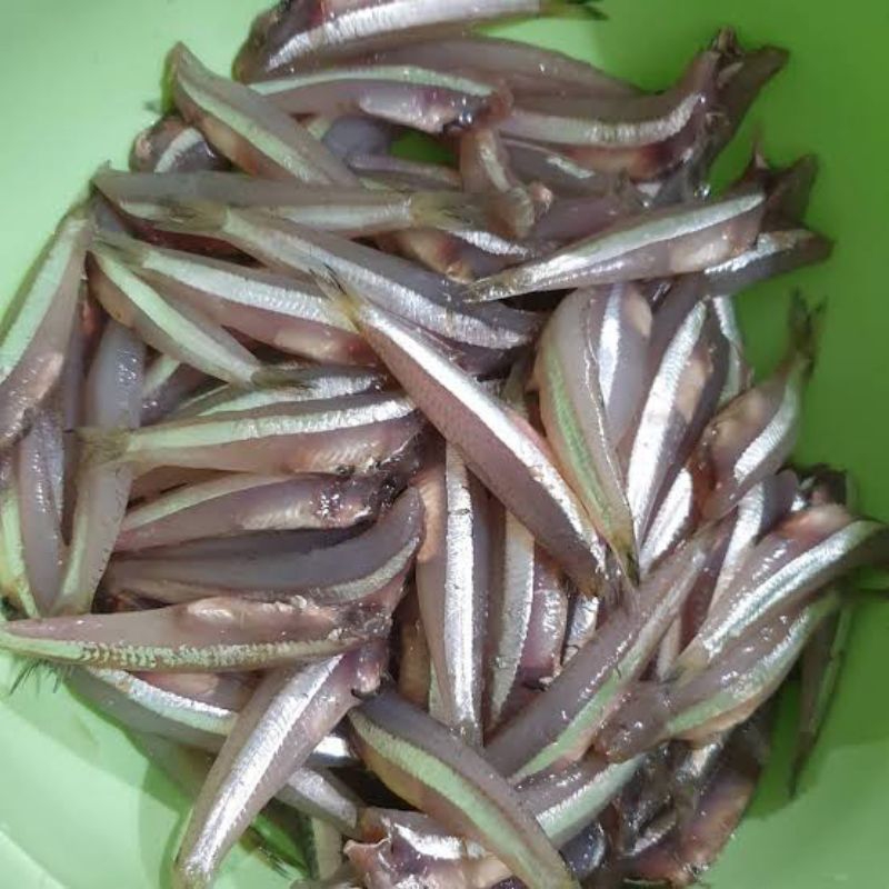 

Ikan Teri Basah 500 Gram