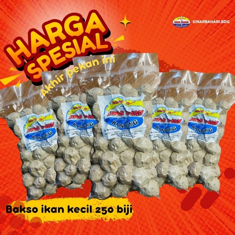 

Bakso ikan sinar bahari ukuran Kecil pack isi 250 butir (1 BAL)