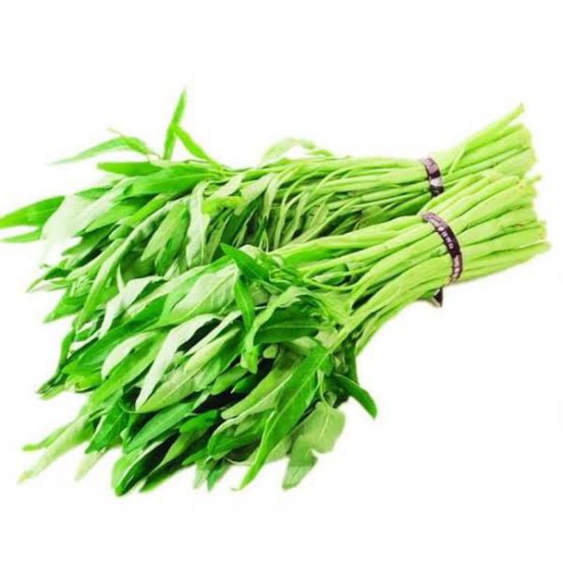 

kangkung segar 1 ikat