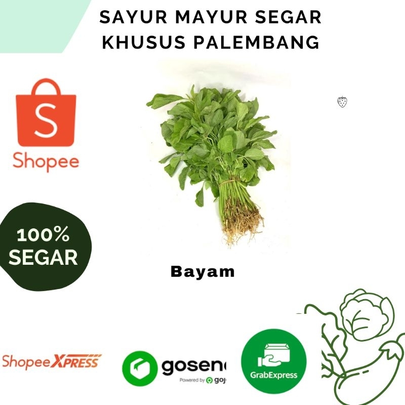 

Sayur Bayam per 1 ikat - Sayur Segar khusus Palembang