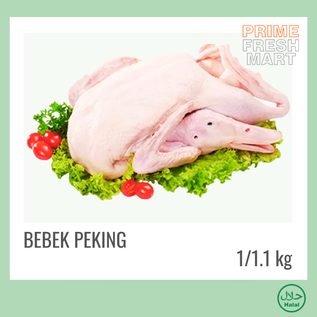 

Bebek Peking 1 Ekor Size 1 kg - 1.3 kg