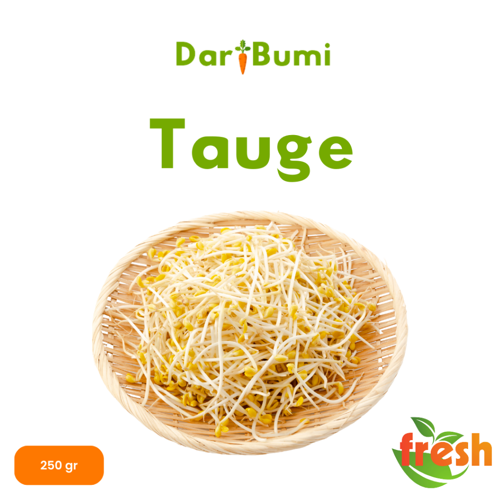 

Sayur Segar Tauge Daribumi 250gr