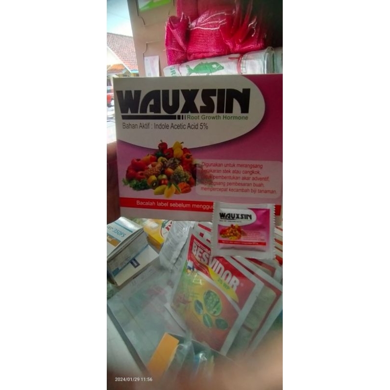 WAUXSIN ZPT Root Growth Hormone