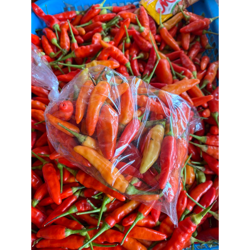 

cabe rawit ori kualitas premium sudah dibungkus-bungkus