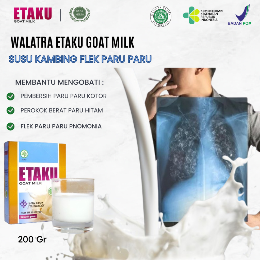 Susu Pembersih Paru Paru, Susu Khusus Flek Paru Paru, Susu Pembersih Paru Paru Kotor Perokok, Asma, 