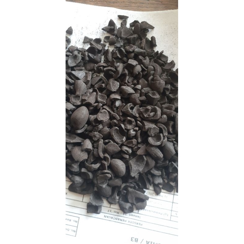 carbon aktif arang sawit 1kg