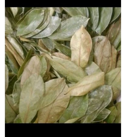 

Daun sirsak kering herbal 250g