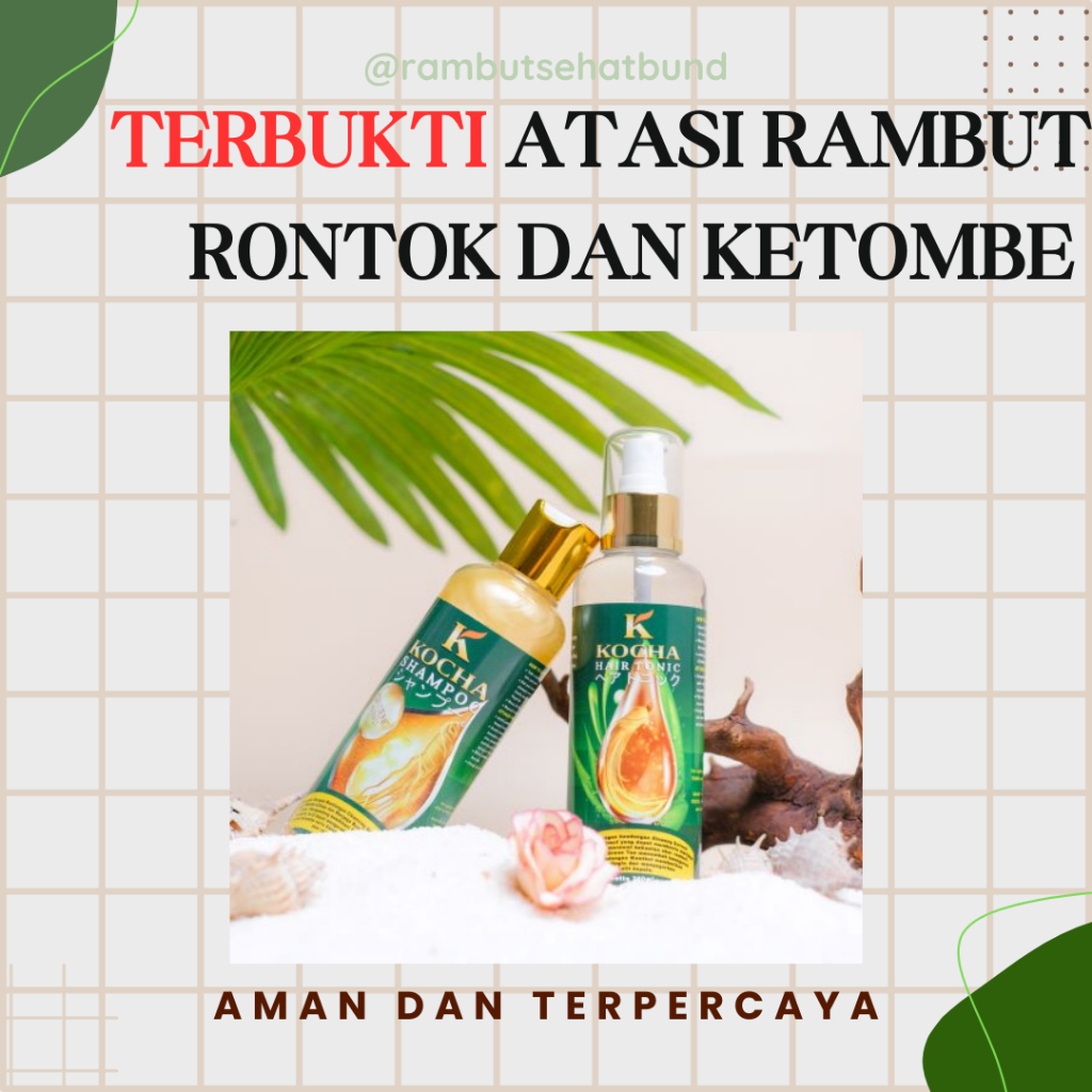 KOCHA SHAMPO PAKET EKONOMIS| Anti Ketombe dan Anti Rontok| Obat Ketombe| Obat Rambut Rontok| Obat Ra