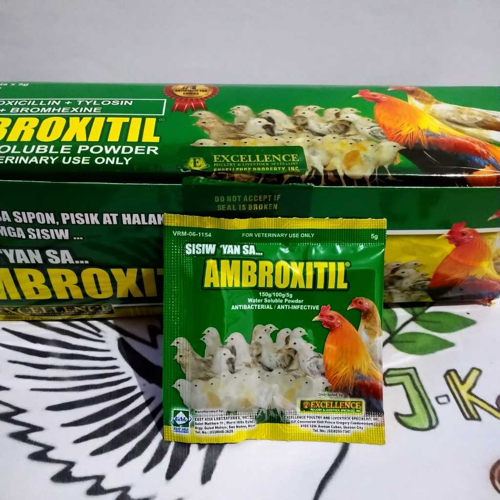 Ambroxitil Obat Antibiotik Ayam Sakit