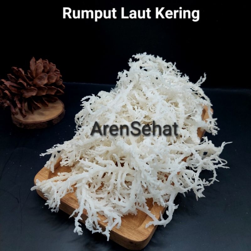 

100gr Rumput Laut Kering / Spinosum Putih Premium