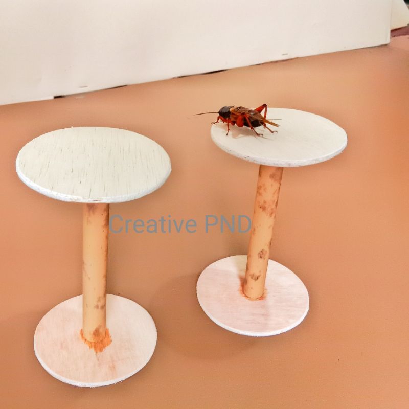 tangkringan jangkrik aduan / tenggeran jangkrik / aksesoris jangkrik aduan