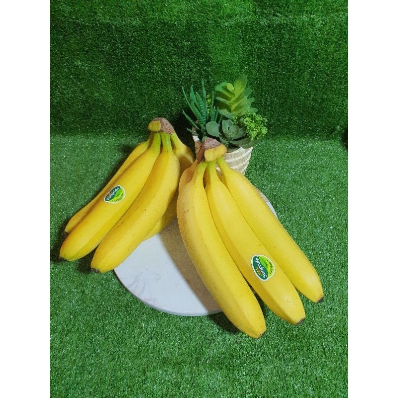 

Pisang Honey Sunpride 1 sisir