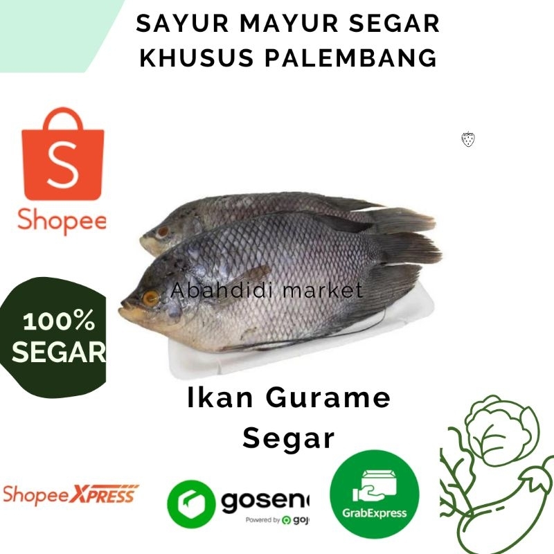 

ikan Gurame Segar 1 ekor (1kg-1,2kg), sayur segar khusus Palembang