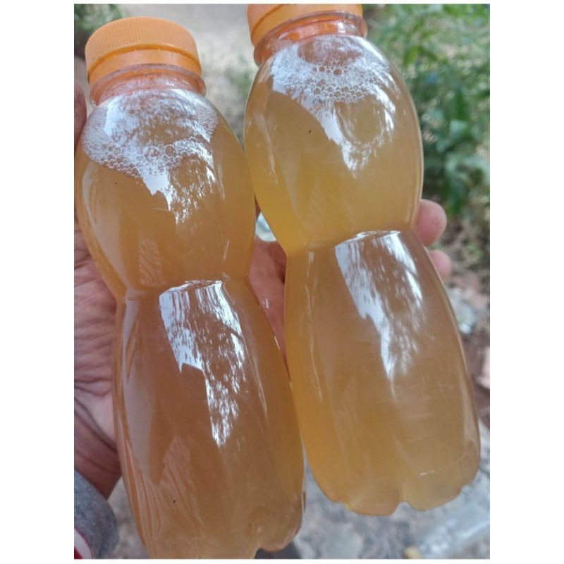 

air aren air nira/lahang per 1 botol di jamin 100% asli air aren