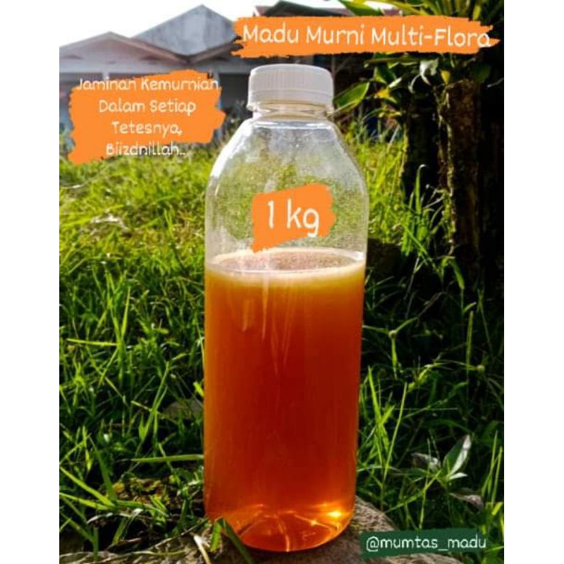 

Madu Murni Multiflora 1 kg 1000gr Full Nektar Madu Asli Bersanad Tanpa Pengolahan
