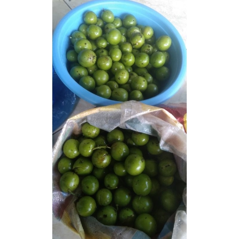 

buah Gandaria Segar 1kg