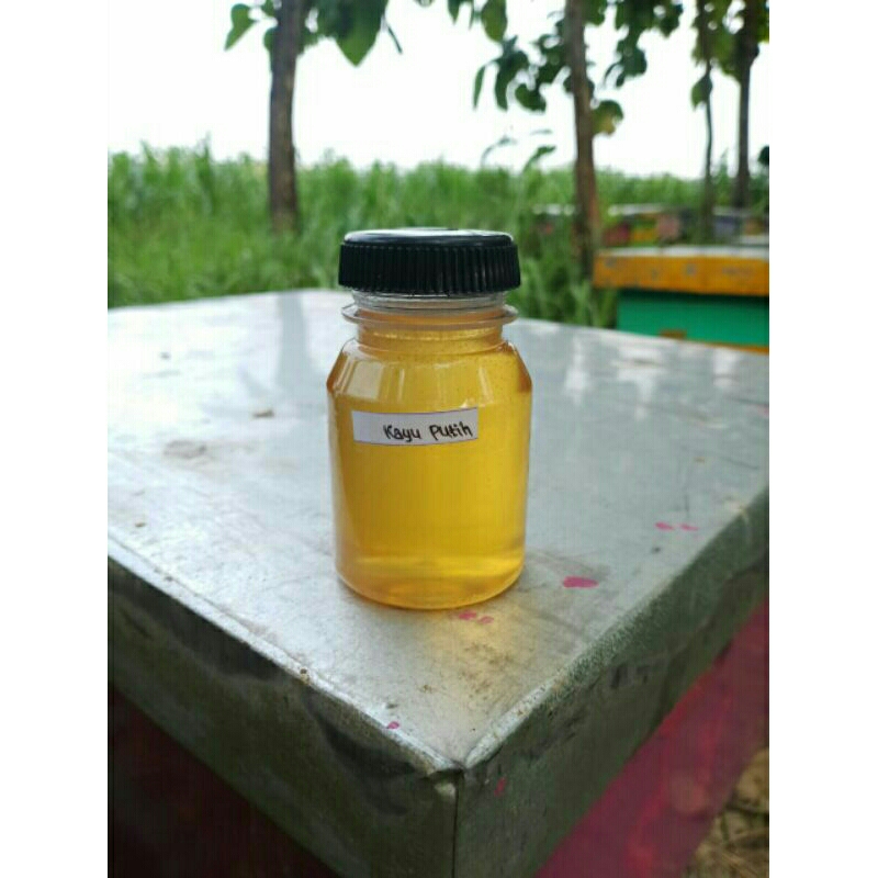

madu kayu putih