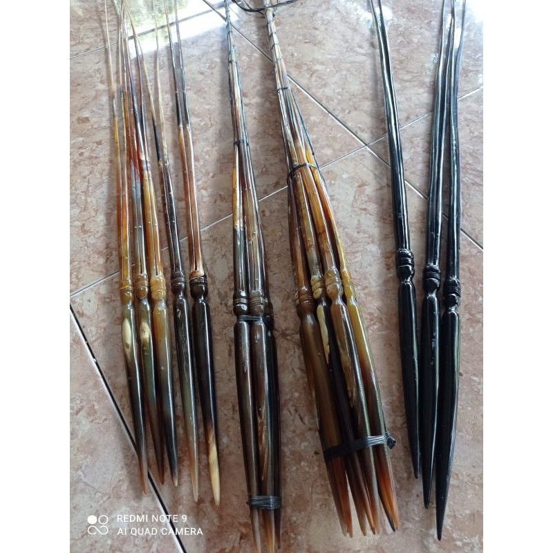 Gapit tanduk Narayana & arjuna