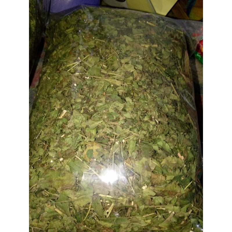

Jual Daun Mindi kering 500gram