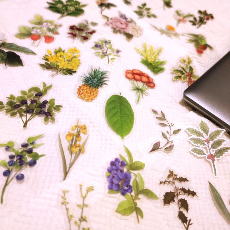 

Stiker flower plant mushroom scrapbook journaling aesthetic [ Ridhl Stuff ]