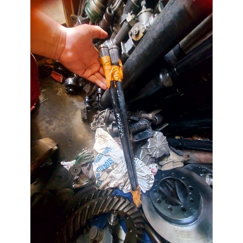 As torsi civic wonder