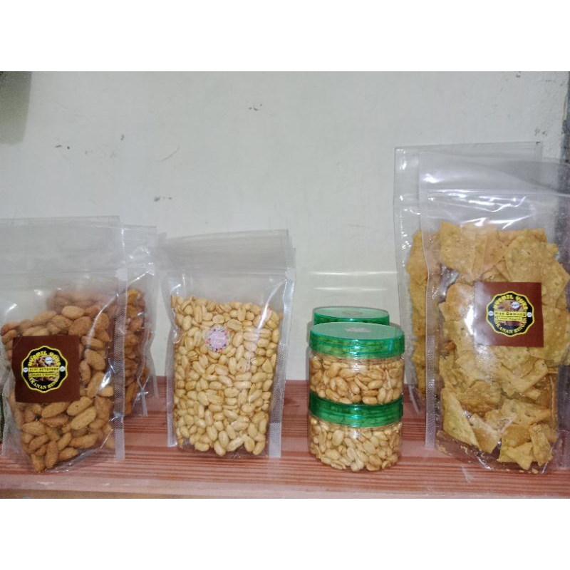 

biji ketapang