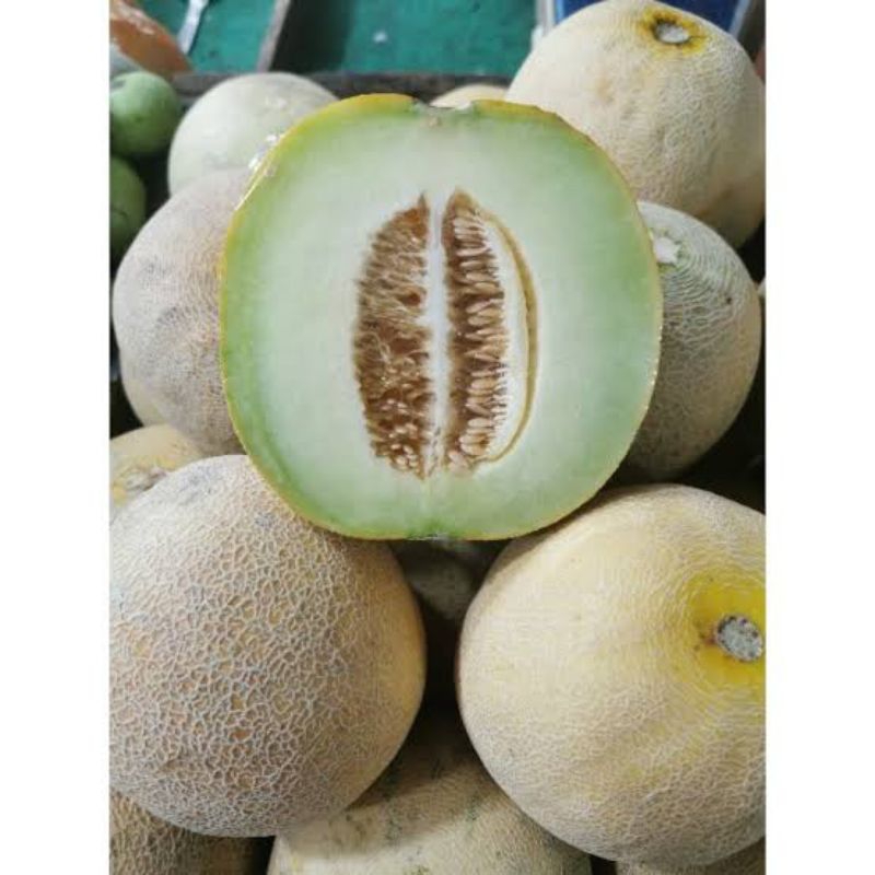 

Buah Melon Hijau Utuh