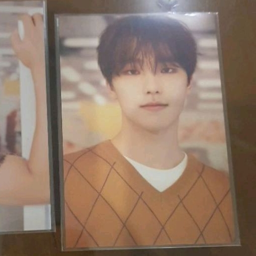 Seventeen Hybe Insight Dino