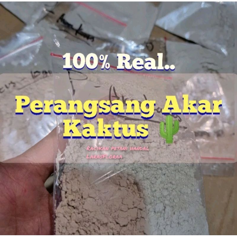 Vitamin Perangsang Akar Kaktus / Bubuk Perangsang Akar Tanaman Kaktus
