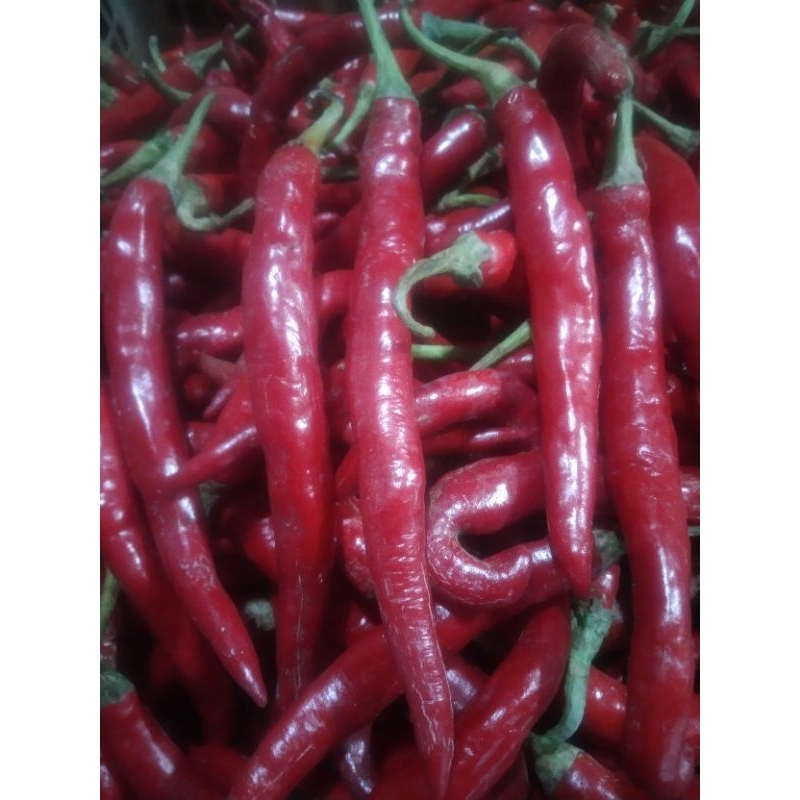 

1 kg, cabe merah besar fresh campur..