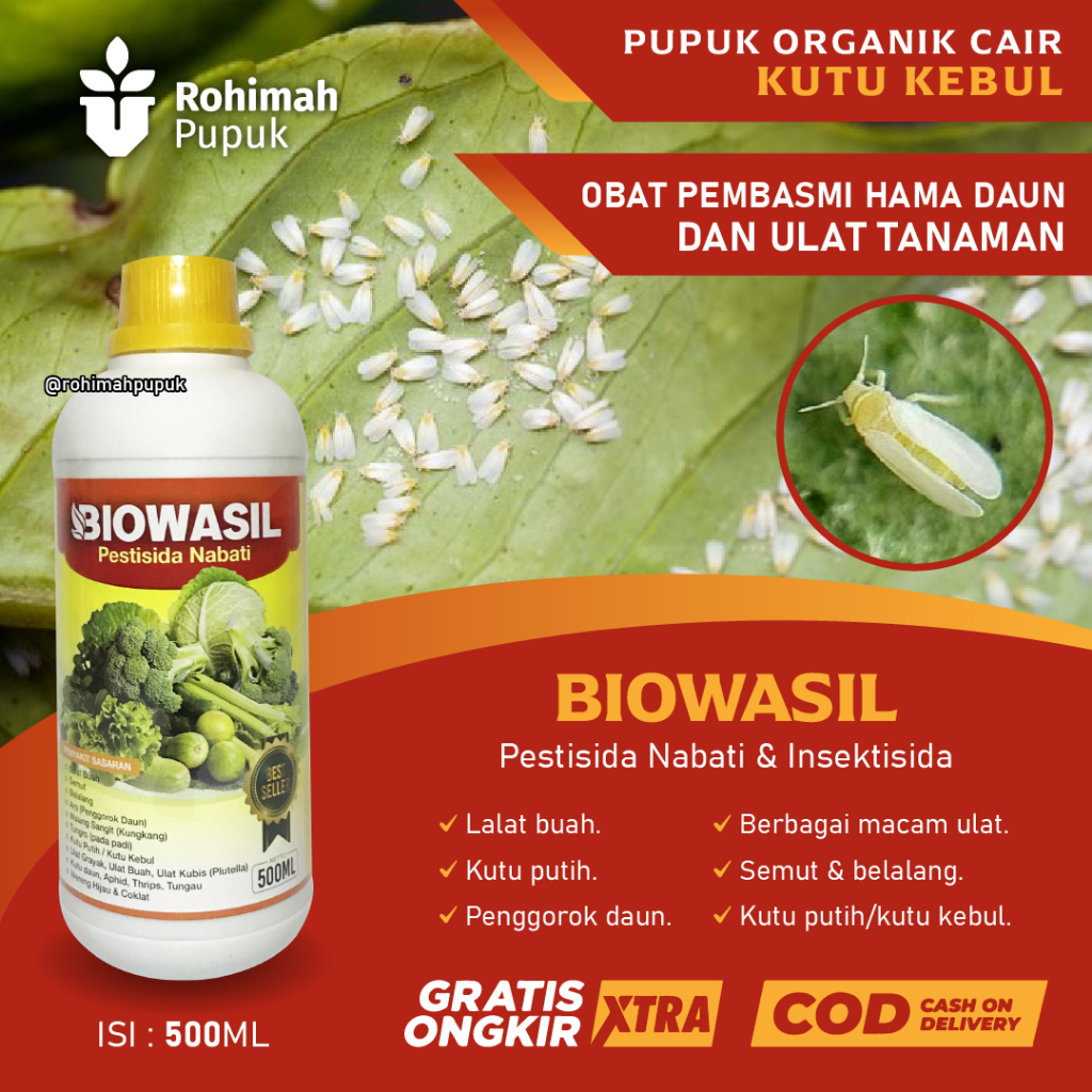 biowasil obat hama kutu putih / kutu kebul pada tanaman sayuran dan buah, pembasmi hama kutu putih p