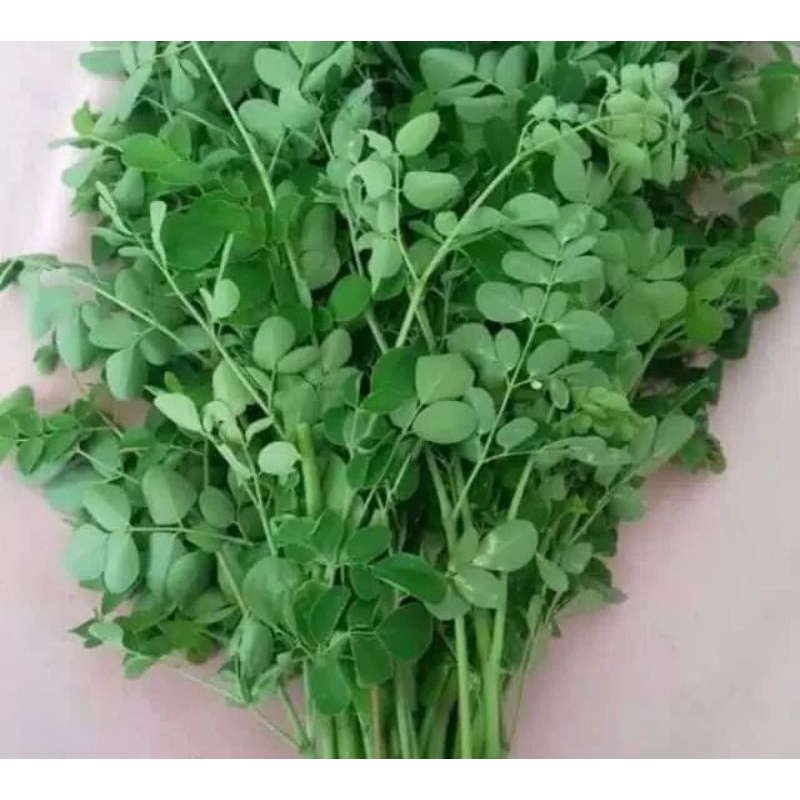 

DAUN HERBAL,DAUN KELOR SEGAR 100 G