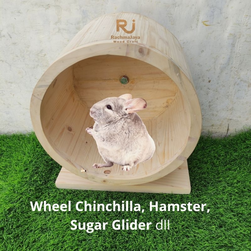 Wheel Hamster Wheel Chinchilla Jogging Wheel Landak Mini