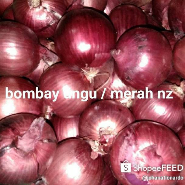 

KODE T49X Bawang bombay ungu merah