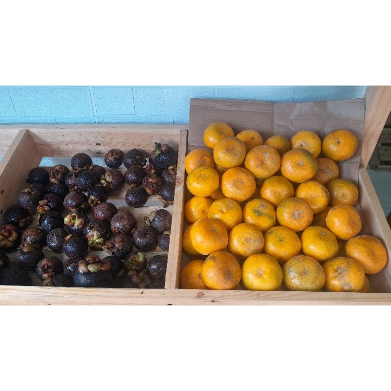 

Jeruk medan berastagi