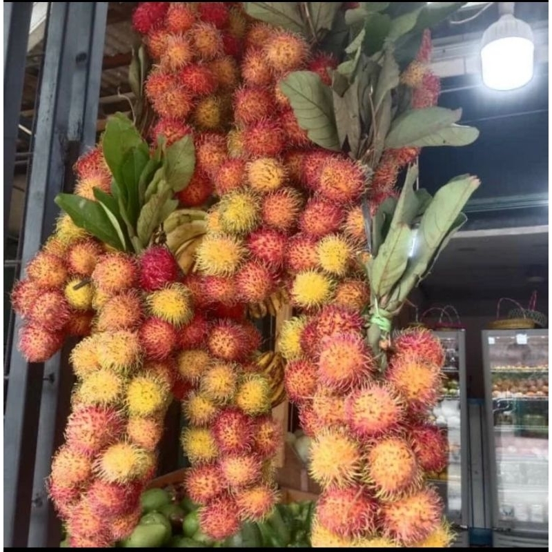 

buah rambutan Fresh manis