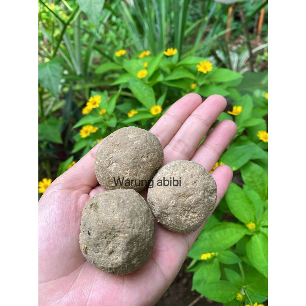 

Tanah Lempung (Penghilang Rasa Pait Pada Daun Pepaya)