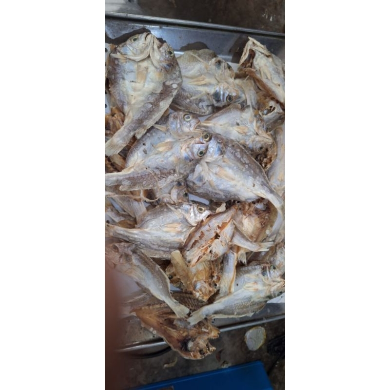

ikan asin belek
