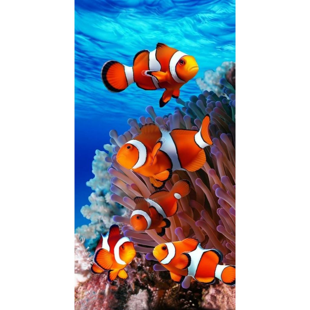 

100 fish memo