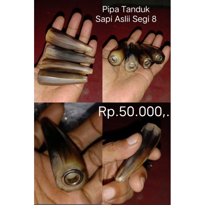 pipa tanduk asli