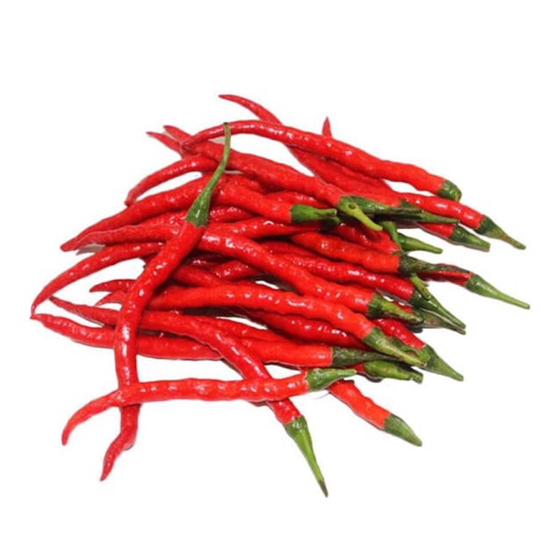 

Cabai Merah Keriting