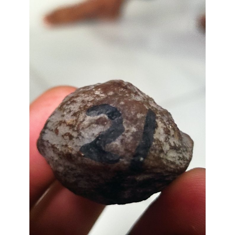 MUNCANG ADU YANTI. MAYA