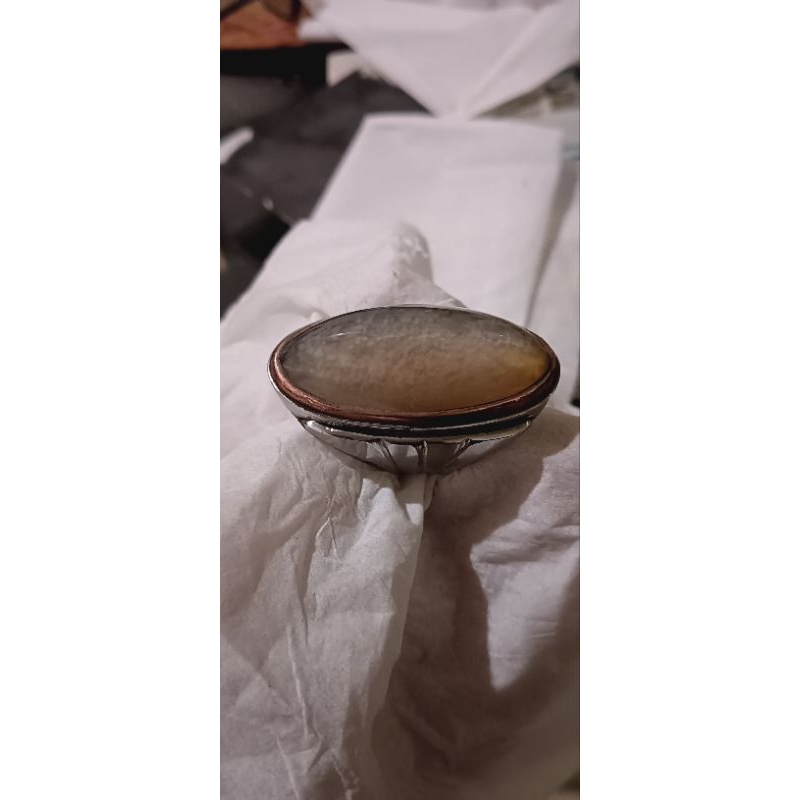 Batu Pandan Lumut Asli Sisik Kutu aer