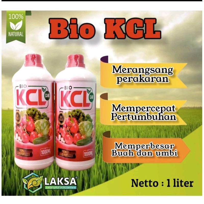 KCL CAIR 1LITER PEMBESAR BUAH