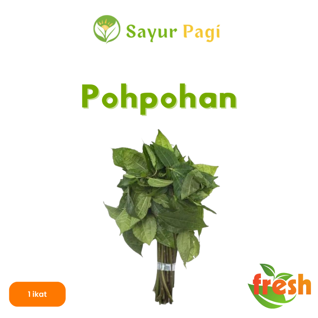 

Sayur Segar Daun Pohpohan - Sayur Pagi Online