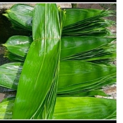 

daun bambu daun bacang daun bambu bungkus baccang 100 lmbar