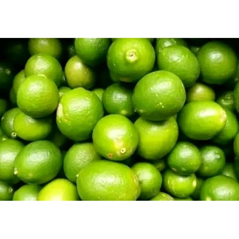 

jeruk nipis 500 grm