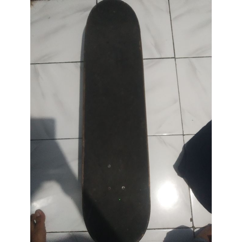 skateboard dewasa