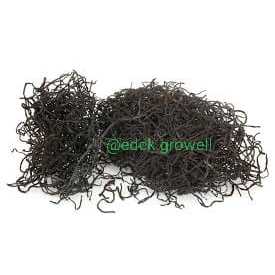 

Dried Hijiki - 50g