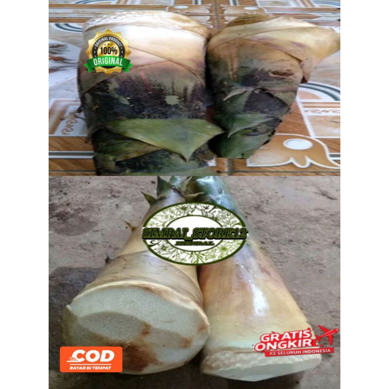 Rebung/Iwung 1 Kg Segar Rebung Segar